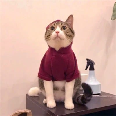 وسیم شاہ avatar