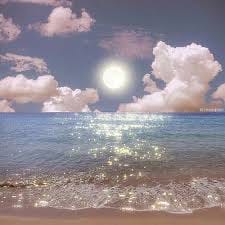 نادیہ صدیقی avatar