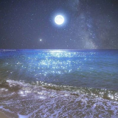 فرحان کریم avatar