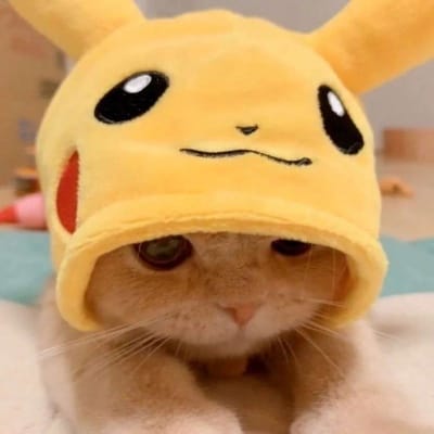 شہزاد علی avatar